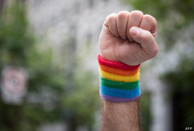 US-LGBT-PRIDE-PARADE