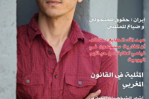 page1-867px-مجلة_أصوات_-_العدد_17.pdf